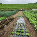 금비농장 이미지