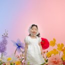 너를봄사진관 | [울산] 스튜디오 꽃을보듯 너를본다 2026 NEW컨셉 '봄의정원' 촬영후기