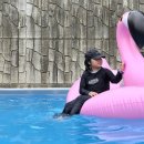 오토오아시스파주월롱점 | 파주 마롱팜 캠핑장 아이와 또 가고 싶은 체험형 캠핑, 꿀잼 캠프닉 후기