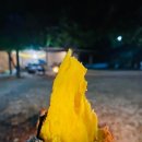 구월농장 이미지