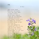 초심으로 돌아갑시다(192)/ 수필은 어떻게 써야 하나-최승범 2 // 문태준 시 한 편 이미지