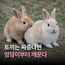 꼬꼬마니 | 남들이 7월 블로그 쓸 때 나는 6월