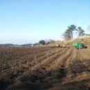 천평농장 이미지