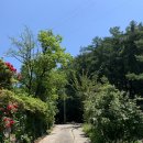 산곡초교입구 등산로 이미지