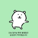 씨유(CU) 상무은혜점 | 어서와요 7월말의 일기속으로