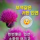카타나펜션