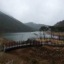 용 태양광발전소 이미지