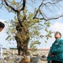 율림경로당 이미지