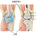 라인업필라테스 이미지