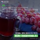 정아농장 이미지