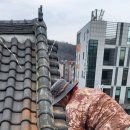 용마루식당 이미지