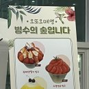 오또오떼영(빙수의숲) | 오또오떼영_ 빙수의 숲입니다