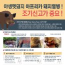 돼지로1985 이미지