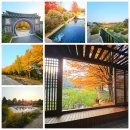 혁신도로 양지로 | 전북 혁신도시 단풍 명소 전주 수목원 정원 산책 데이트 병풍 포토존