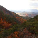 단풍