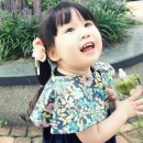 아기별플라워 이미지