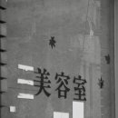 박창용 태권도 이미지