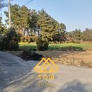 표선리사무소 이미지