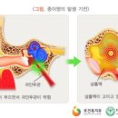 웰키즈소아청소년과의원 네이버블로그