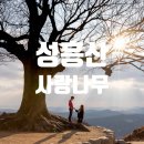 성흥산 솔바람길 | 부여 여행, 부여군 성흥산 사랑나무, 성흥산성(가림성), 부여 사랑나무, 인생사진