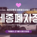 세종 자동차 이미지