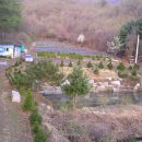 경춘농원 이미지