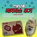 견생냥품 | [견생냥품] 견생냥품 럭키박스 솔직 후기🎁 강아지 선물 고민고민하지 마!!