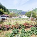410민박 네이버블로그
