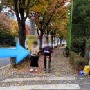 문현중학교 내 이미지