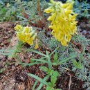 금산인삼랜드(대전) 이미지