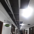 에듀웰유치원 이미지