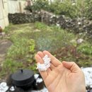 문박 민박 이미지