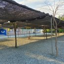 백산금빛캠프장 이미지