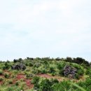 상천리-3 이미지