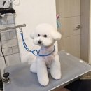 홍글몽글 - 남구 중앙로156번길 44 | 홍글몽글