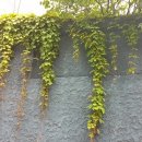 우리바다를 지킨 장군들 이미지