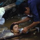 푸르니에 이미지