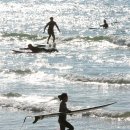 만리포니아 이미지