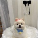 그루밍124