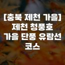 달래강물빛산책로 | [충북 제천 가을] 제천 청풍호 가을 단풍 유람선 코스