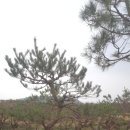 신천리영농조합법인 이미지