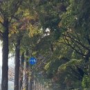 방배로 14 (8) 이미지