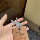휘월민박집 | [울릉도] 울릉도 숙소 휘월 Part 2. 3박 솔직 후기