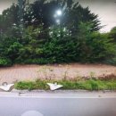 신구리농장 네이버블로그