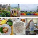 경남관광안내소(사천공항) | 사천 가볼만한 곳_오션뷰 카페 비토리, 케이블카 자연휴양림, 삼천포 용궁수산시장 상차림 회식당