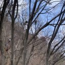 코오롱 앞(정부과천청사역 4번출구) | 4/4 관악산 후기 진달래, 개나리 피기 시작(연주대 아이스크림, 연주암 라면)