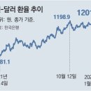 그냥 심심해서요. (13011) 원-달러 환율 1200원 넘어 이미지