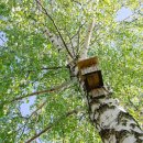 프라임보청기 이미지