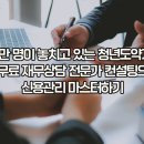 제대로 된 자산관리 - 대출도 자산이다 | 200만 명이 놓치고 있는 청년도약계좌 1:1 무료 재무상담 전문가 컨설팅으로 신용관리 마스터하기