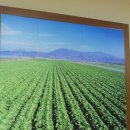 (주)영유통 이미지